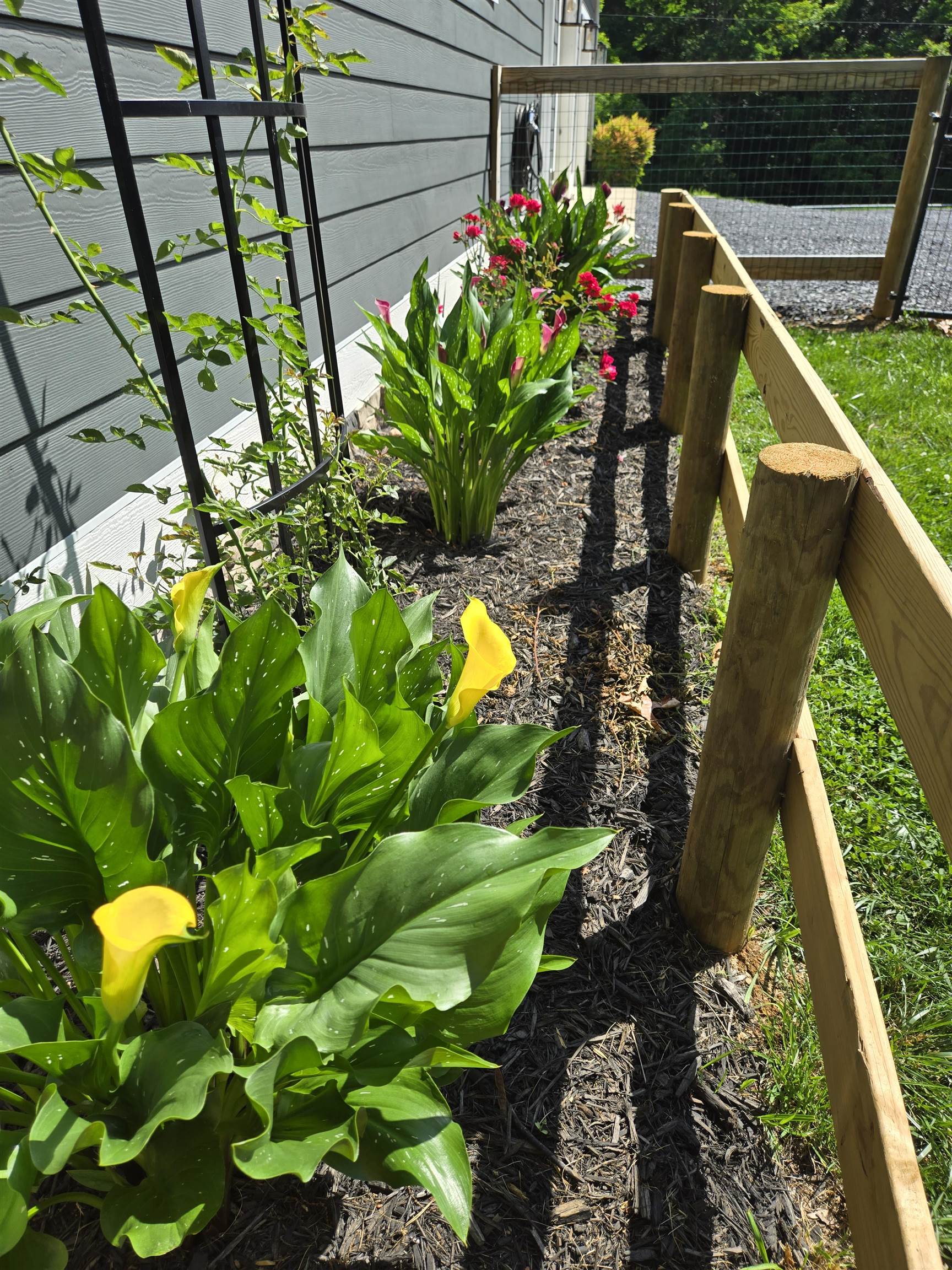 Will spring soon! Will spring soon!