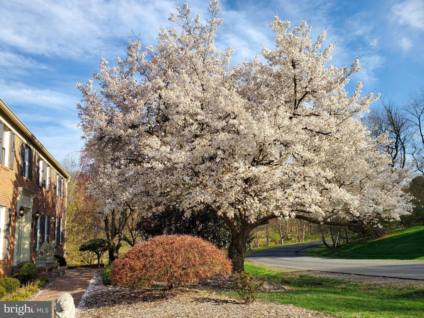 1435 ROSEWOOD HILL DR, VIENNA, Virginia 22182, 5 Bedrooms Bedrooms, 14 Rooms Rooms,3 BathroomsBathrooms,Residential,For sale,1435 ROSEWOOD HILL DR,VAFX2287790 MLS # VAFX2287790