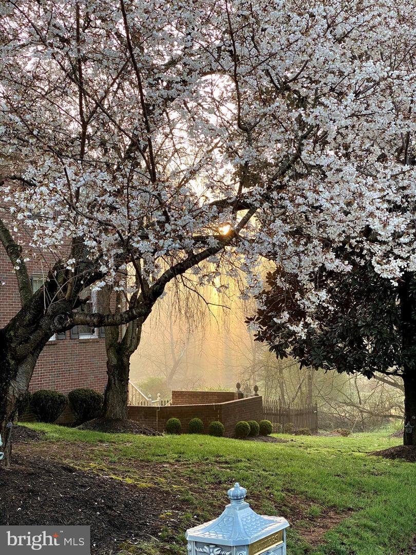 1435 ROSEWOOD HILL DR, VIENNA, Virginia 22182, 5 Bedrooms Bedrooms, 14 Rooms Rooms,3 BathroomsBathrooms,Residential,For sale,1435 ROSEWOOD HILL DR,VAFX2287790 MLS # VAFX2287790