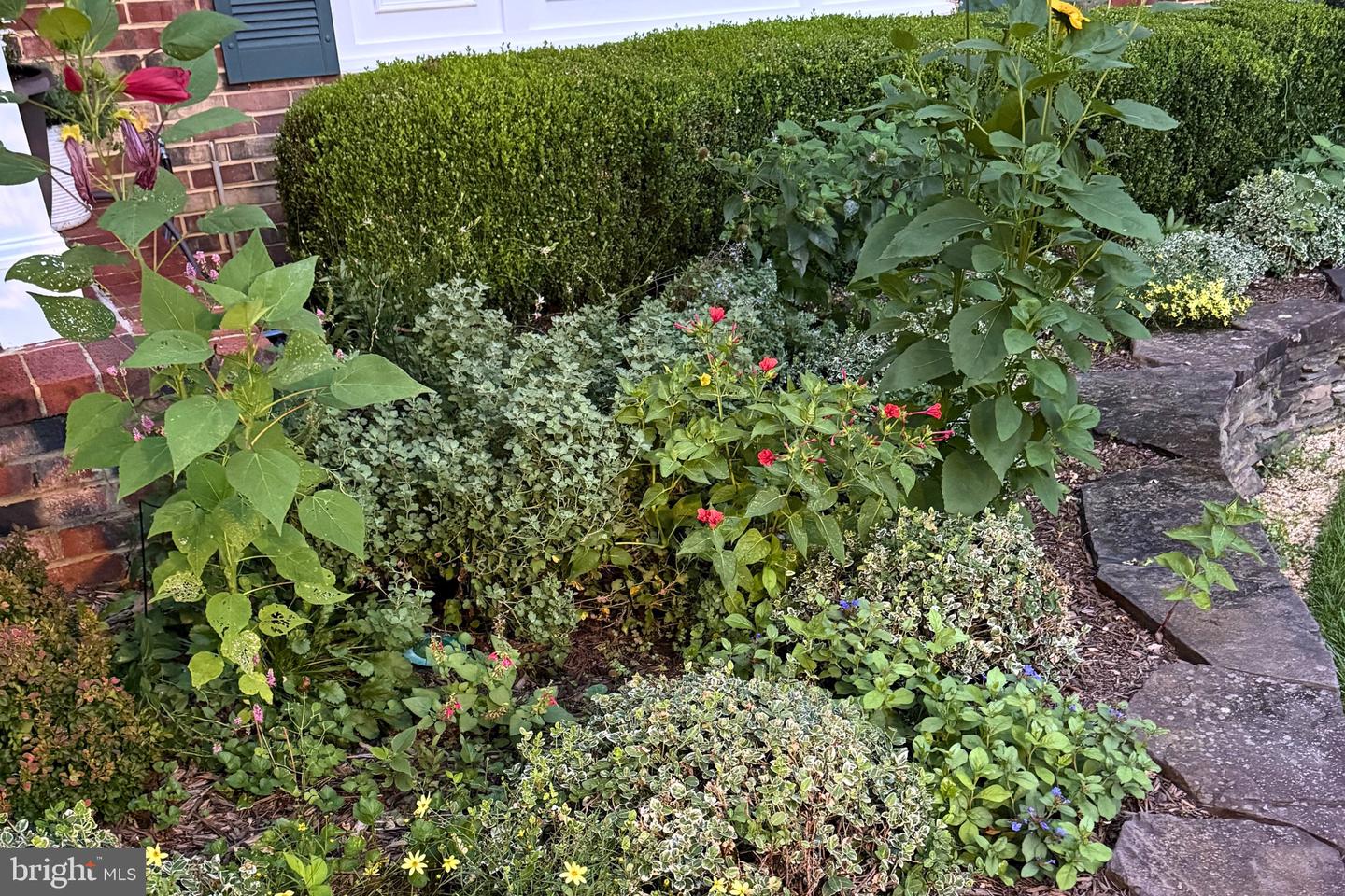 6003 SHERBORN LN, SPRINGFIELD, Virginia 22152, 4 Bedrooms Bedrooms, ,2 BathroomsBathrooms,Residential,For sale,6003 SHERBORN LN,VAFX2289370 MLS # VAFX2289370 6003 SHERBORN LN, SPRINGFIELD, Virginia 22152, 4 Bedrooms Bedrooms, ,2 BathroomsBathrooms,Residential,For sale,6003 SHERBORN LN,VAFX2289370 MLS # VAFX2289370