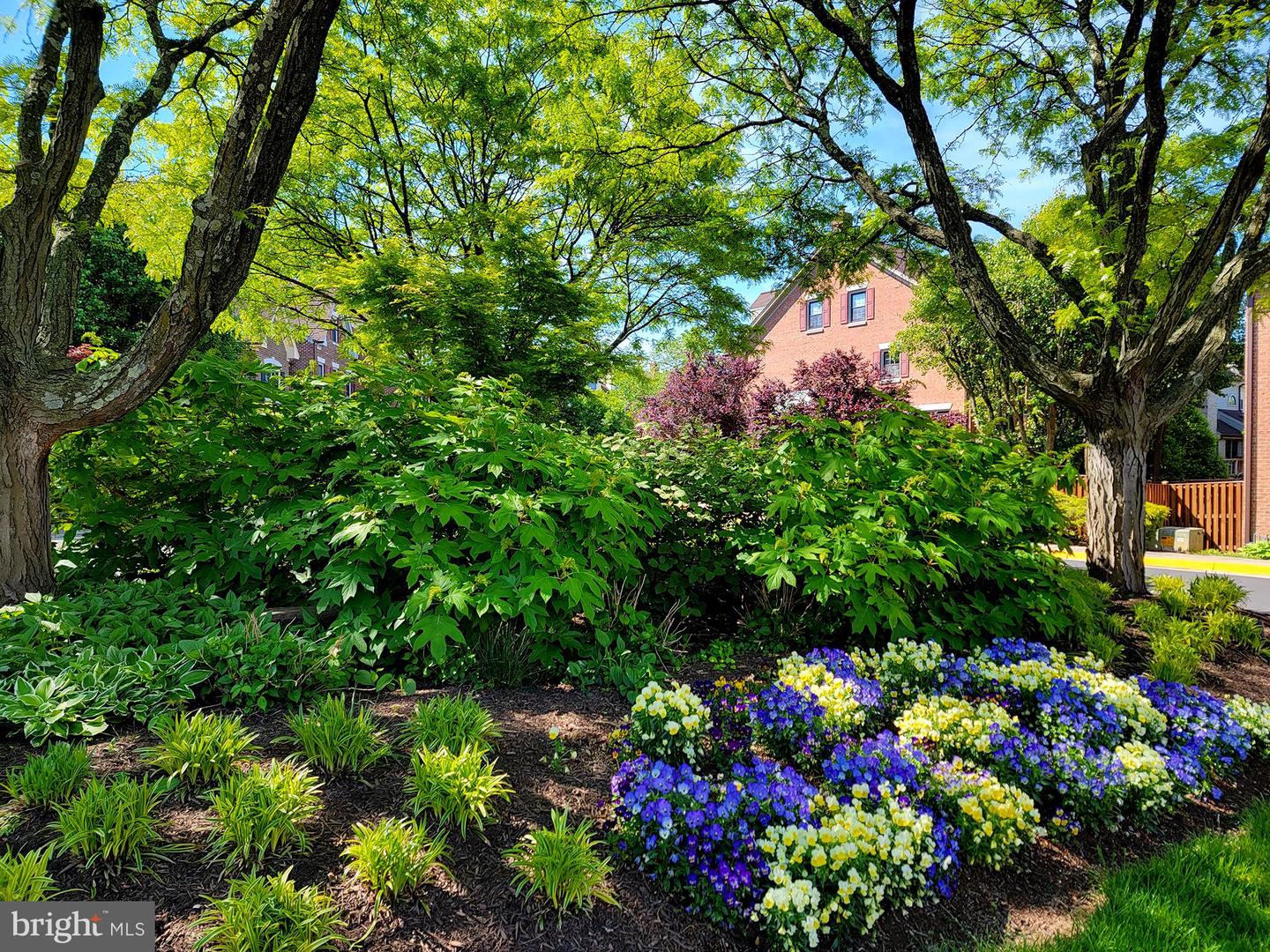 5203 COTTINGHAM PL, ALEXANDRIA, Virginia 22304, 3 Bedrooms Bedrooms, ,3 BathroomsBathrooms,Residential,For sale,5203 COTTINGHAM PL,VAFX2290208 MLS # VAFX2290208