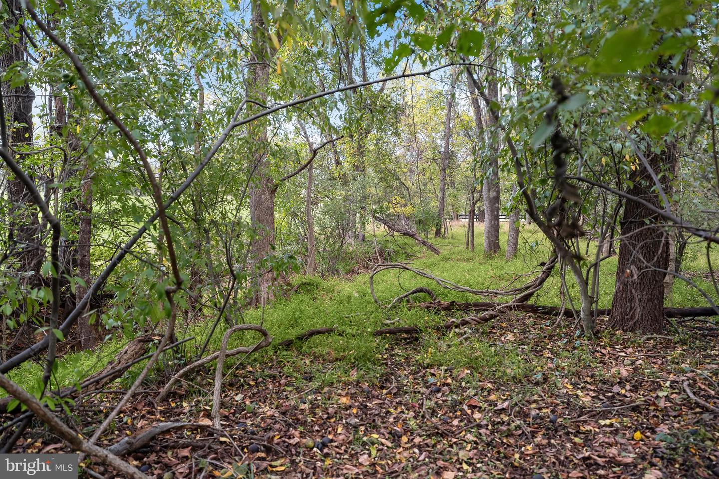 37009 PHILOMONT RD, PURCELLVILLE, Virginia 20132, 5 Bedrooms Bedrooms, ,3 BathroomsBathrooms,Residential,For sale,37009 PHILOMONT RD,VALO2115692 MLS # VALO2115692