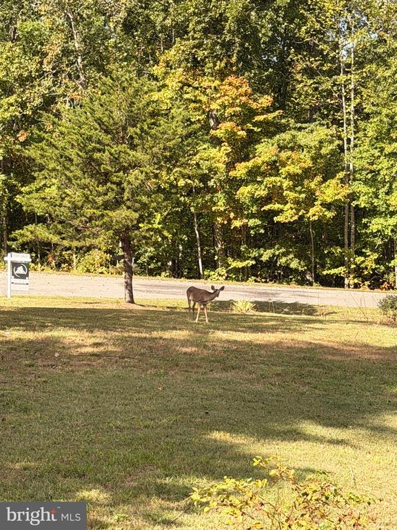 804 CHESTNUT AVE, MINERAL, Virginia 23117, 3 Bedrooms Bedrooms, ,3 BathroomsBathrooms,Residential,804 CHESTNUT AVE,VALA2008606 MLS # VALA2008606