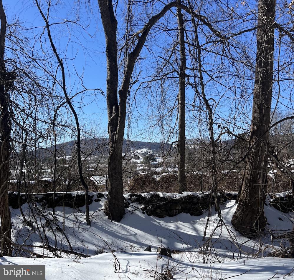 CARLETON LN, THE PLAINS, Virginia 20198, ,Land,For sale,CARLETON LN,VAFQ2020326 MLS # VAFQ2020326