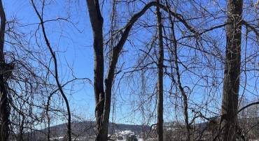 CARLETON LN, THE PLAINS, Virginia 20198, ,Land,For sale,CARLETON LN,VAFQ2020326 MLS # VAFQ2020326