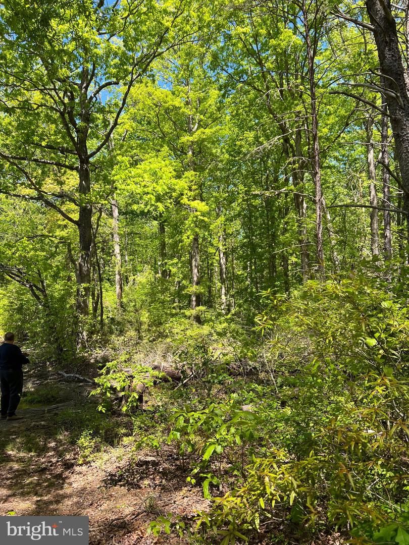 ELK RUN, BEALETON, Virginia 22712, ,Land,For sale,ELK RUN,VAFQ2020374 MLS # VAFQ2020374 ELK RUN, BEALETON, Virginia 22712, ,Land,For sale,ELK RUN,VAFQ2020374 MLS # VAFQ2020374