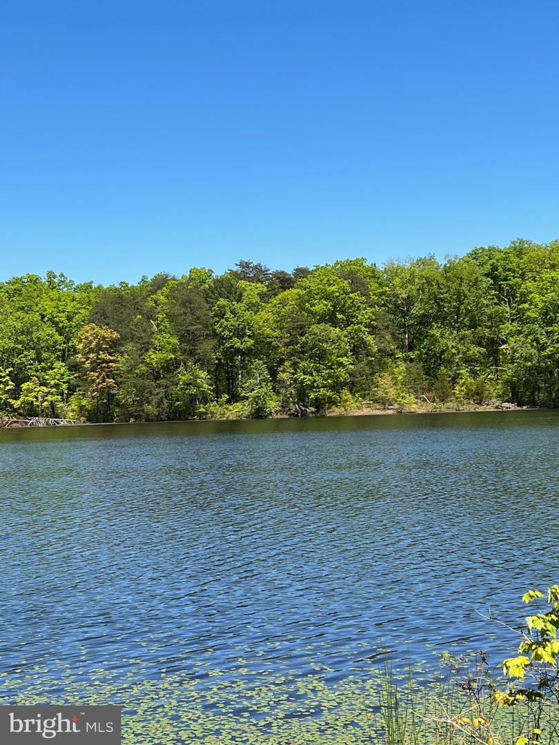 ELK RUN, BEALETON, Virginia 22712, ,Land,For sale,ELK RUN,VAFQ2020374 MLS # VAFQ2020374 ELK RUN, BEALETON, Virginia 22712, ,Land,For sale,ELK RUN,VAFQ2020374 MLS # VAFQ2020374