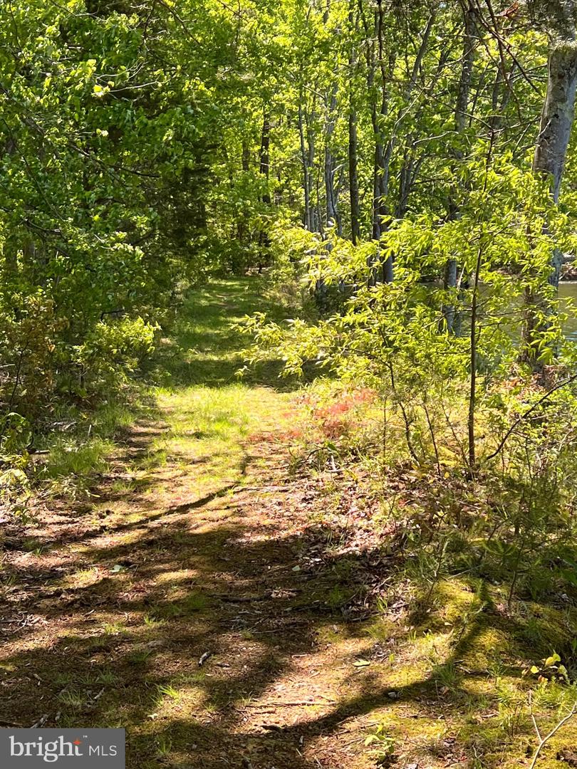 ELK RUN, BEALETON, Virginia 22712, ,Land,For sale,ELK RUN,VAFQ2020374 MLS # VAFQ2020374 ELK RUN, BEALETON, Virginia 22712, ,Land,For sale,ELK RUN,VAFQ2020374 MLS # VAFQ2020374