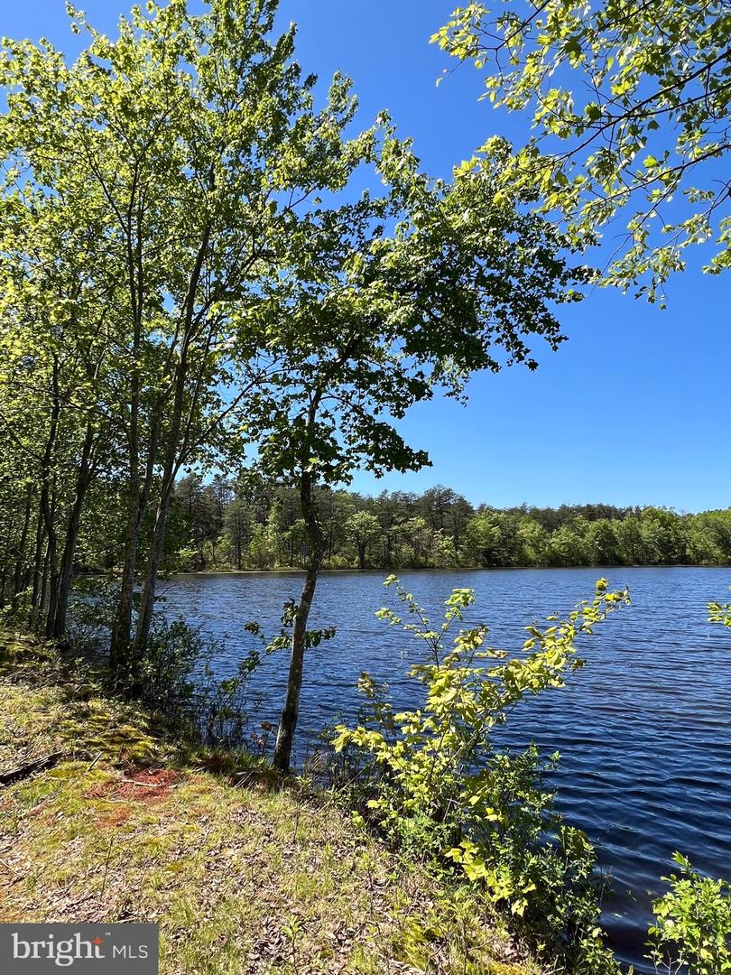 ELK RUN, BEALETON, Virginia 22712, ,Land,For sale,ELK RUN,VAFQ2020374 MLS # VAFQ2020374 ELK RUN, BEALETON, Virginia 22712, ,Land,For sale,ELK RUN,VAFQ2020374 MLS # VAFQ2020374