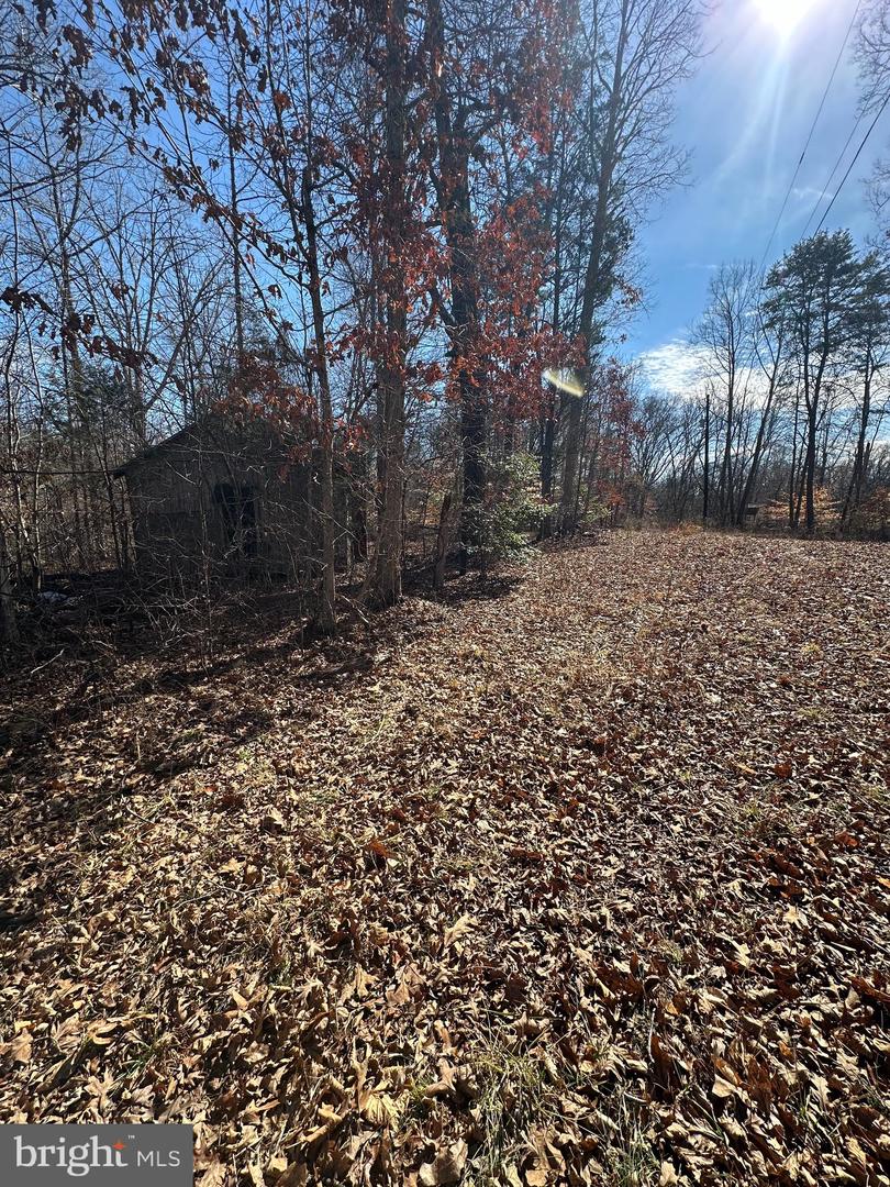 0 STAGE JUNCTION RD, COLUMBIA, Virginia 23038, ,Land,For sale,0 STAGE JUNCTION RD,VAFN2000620 MLS # VAFN2000620