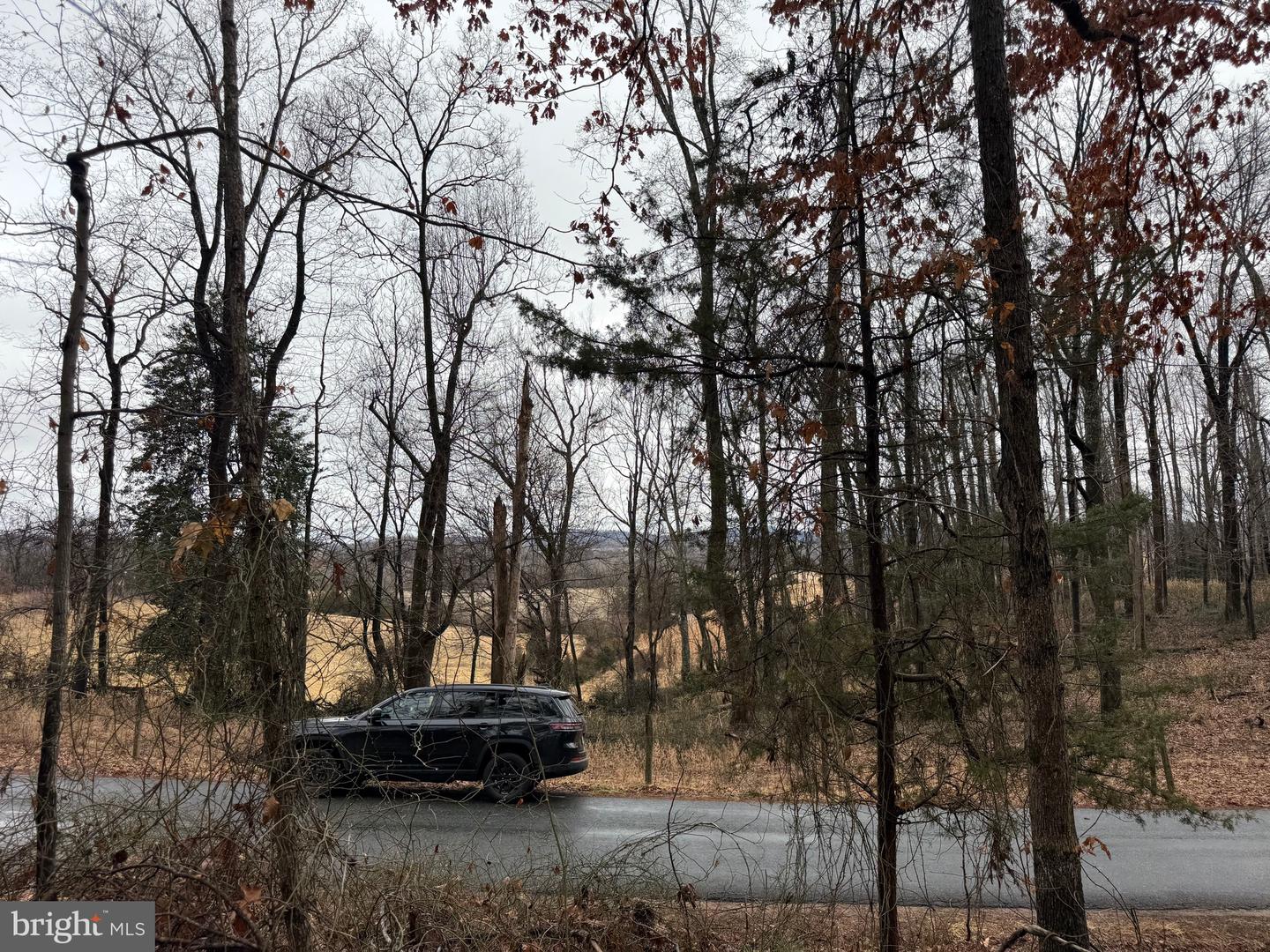 0 TATUM SCHOOL RD, MADISON, Virginia 22727, ,Land,For sale,0 TATUM SCHOOL RD,VAMA2002608 MLS # VAMA2002608