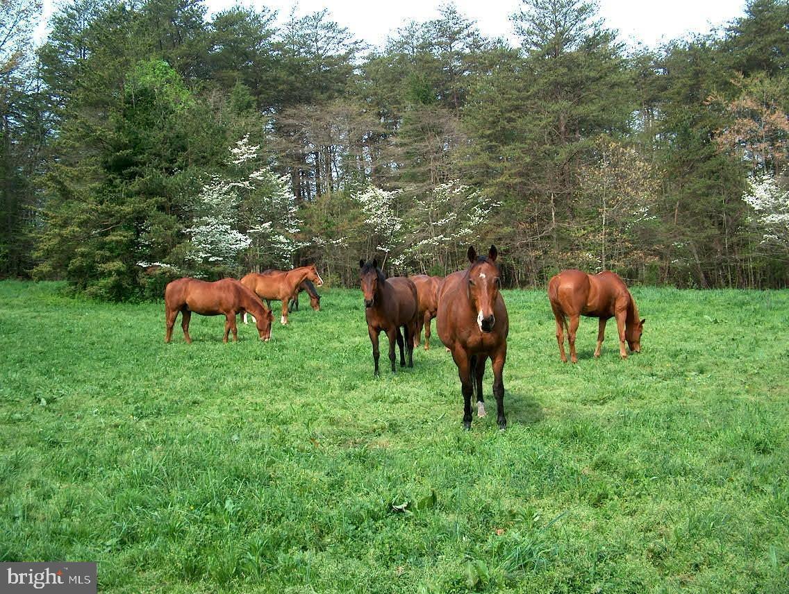 11909 BRADLEY FOREST RD, MANASSAS, Virginia 20112, 4 Bedrooms Bedrooms, 8 Rooms Rooms,3 BathroomsBathrooms,Residential,For sale,11909 BRADLEY FOREST RD,VAPW2112368 MLS # VAPW2112368 11909 BRADLEY FOREST RD, MANASSAS, Virginia 20112, 4 Bedrooms Bedrooms, 8 Rooms Rooms,3 BathroomsBathrooms,Residential,For sale,11909 BRADLEY FOREST RD,VAPW2112368 MLS # VAPW2112368