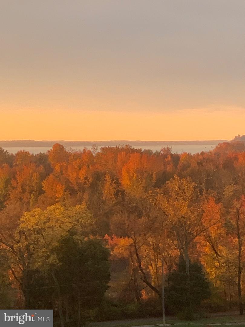 485 HARBOR SIDE ST #910, WOODBRIDGE, Virginia 22191, 2 Bedrooms Bedrooms, ,2 BathroomsBathrooms,Residential,For sale,485 HARBOR SIDE ST #910,VAPW2112444 MLS # VAPW2112444