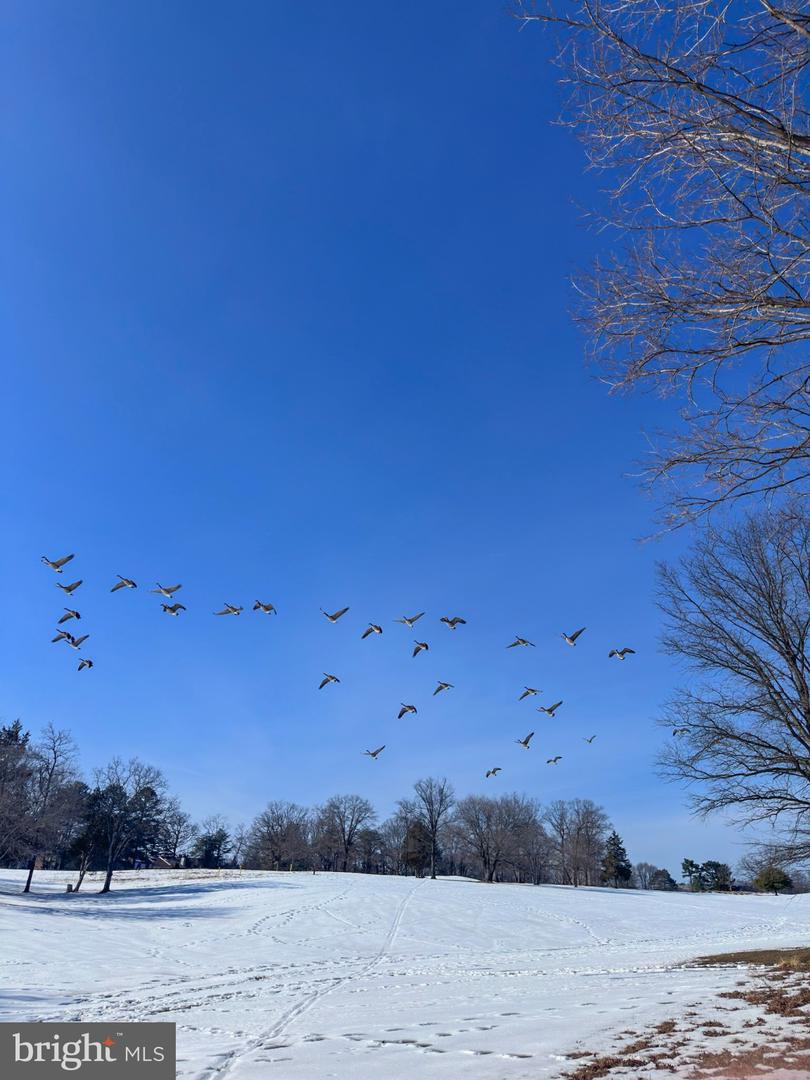 2158 GOLF COURSE DR. DR, RESTON, Virginia 20191, 3 Bedrooms Bedrooms, 12 Rooms Rooms,3 BathroomsBathrooms,Residential,For sale,2158 GOLF COURSE DR. DR,VAFX2290896 MLS # VAFX2290896