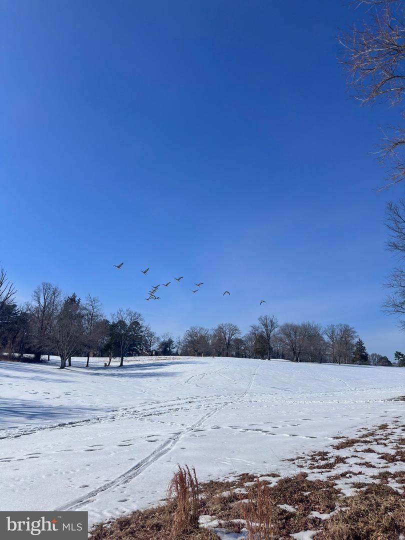 2158 GOLF COURSE DR. DR, RESTON, Virginia 20191, 3 Bedrooms Bedrooms, 12 Rooms Rooms,3 BathroomsBathrooms,Residential,For sale,2158 GOLF COURSE DR. DR,VAFX2290896 MLS # VAFX2290896