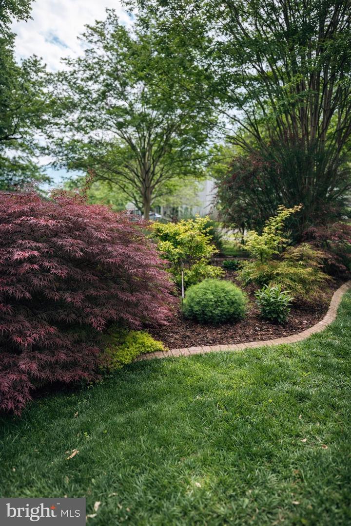 5905 VISTA CT, FREDERICKSBURG, Virginia 22407, 3 Bedrooms Bedrooms, ,2 BathroomsBathrooms,Residential,For sale,5905 VISTA CT,VASP2039318 MLS # VASP2039318