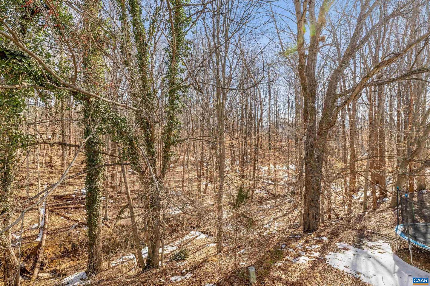 120 LONGWOOD DR #A, CHARLOTTESVILLE, Virginia 22903, 3 Bedrooms Bedrooms, ,2 BathroomsBathrooms,Residential,For sale,120 LONGWOOD DR #A,673414 MLS # 673414