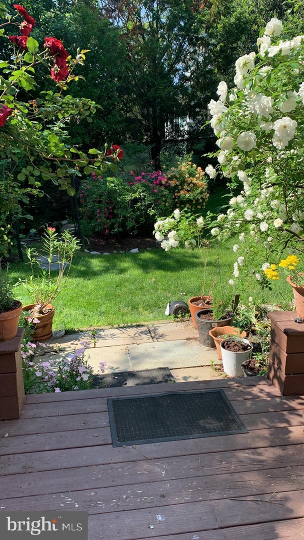 2608 NORTHAMPTON ST NW, WASHINGTON, District Of Columbia 20015, 5 Bedrooms Bedrooms, ,3 BathroomsBathrooms,Residential,For sale,2608 NORTHAMPTON ST NW,DCDC2246654 MLS # DCDC2246654