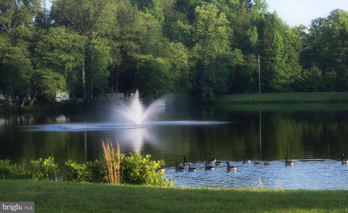 26236 SHANNON MILL DR, RUTHER GLEN, Virginia 22546, 3 Bedrooms Bedrooms, ,2 BathroomsBathrooms,Residential,For sale,26236 SHANNON MILL DR,VACV2009554 MLS # VACV2009554