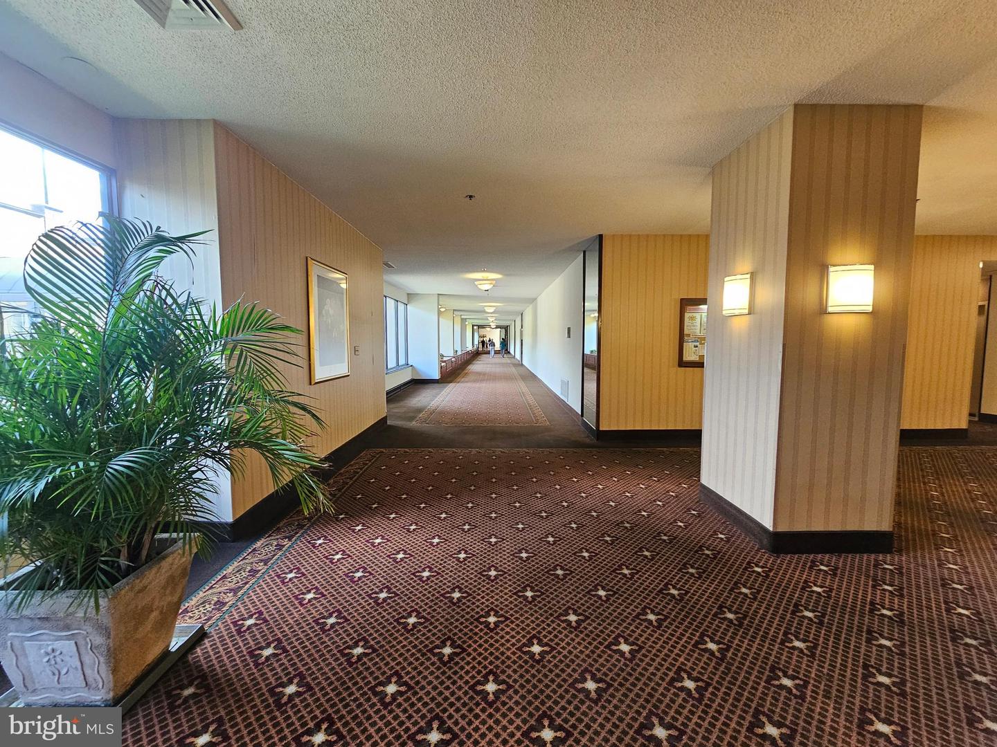 3709 GEORGE MASON DR S #710 EAST, FALLS CHURCH, Virginia 22041, 2 Bedrooms Bedrooms, ,2 BathroomsBathrooms,Residential,For sale,3709 GEORGE MASON DR S #710 EAST,VAFX2291702 MLS # VAFX2291702