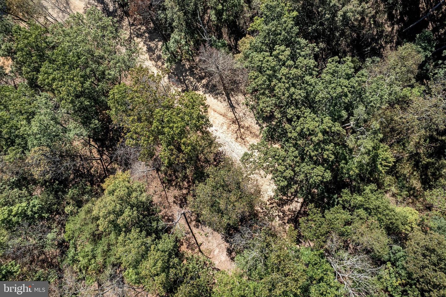 LOT 6 BACK CREEK RD, GORE, Virginia 22637, ,Land,For sale,LOT 6 BACK CREEK RD,VAFV2037394 MLS # VAFV2037394 LOT 6 BACK CREEK RD, GORE, Virginia 22637, ,Land,For sale,LOT 6 BACK CREEK RD,VAFV2037394 MLS # VAFV2037394