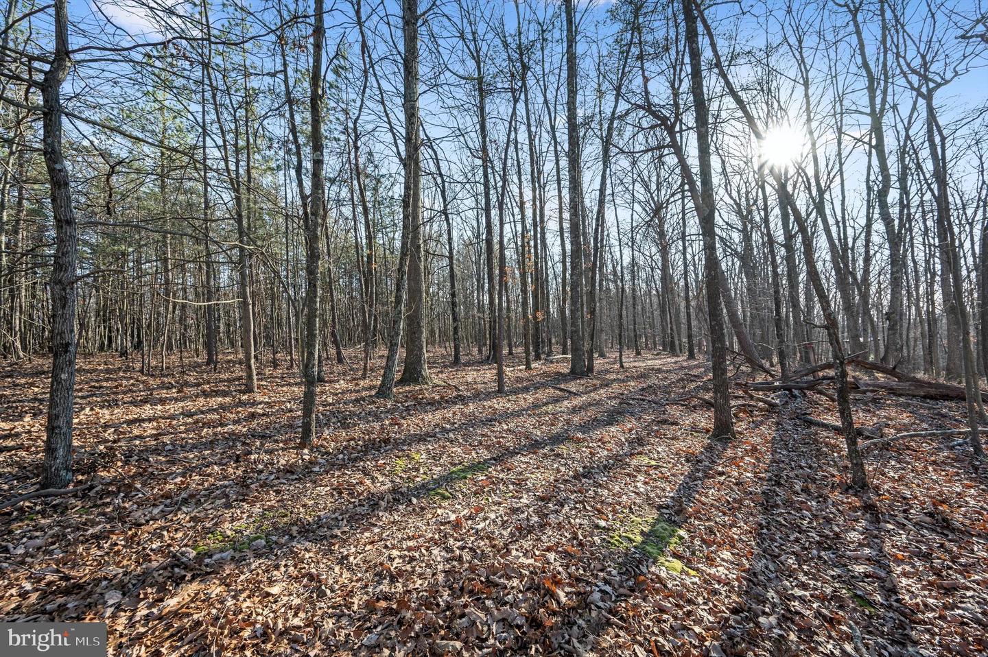 LOT 2 BACK CREEK RD, GORE, Virginia 22637, ,Land,For sale,LOT 2 BACK CREEK RD,VAFV2037396 MLS # VAFV2037396 LOT 2 BACK CREEK RD, GORE, Virginia 22637, ,Land,For sale,LOT 2 BACK CREEK RD,VAFV2037396 MLS # VAFV2037396