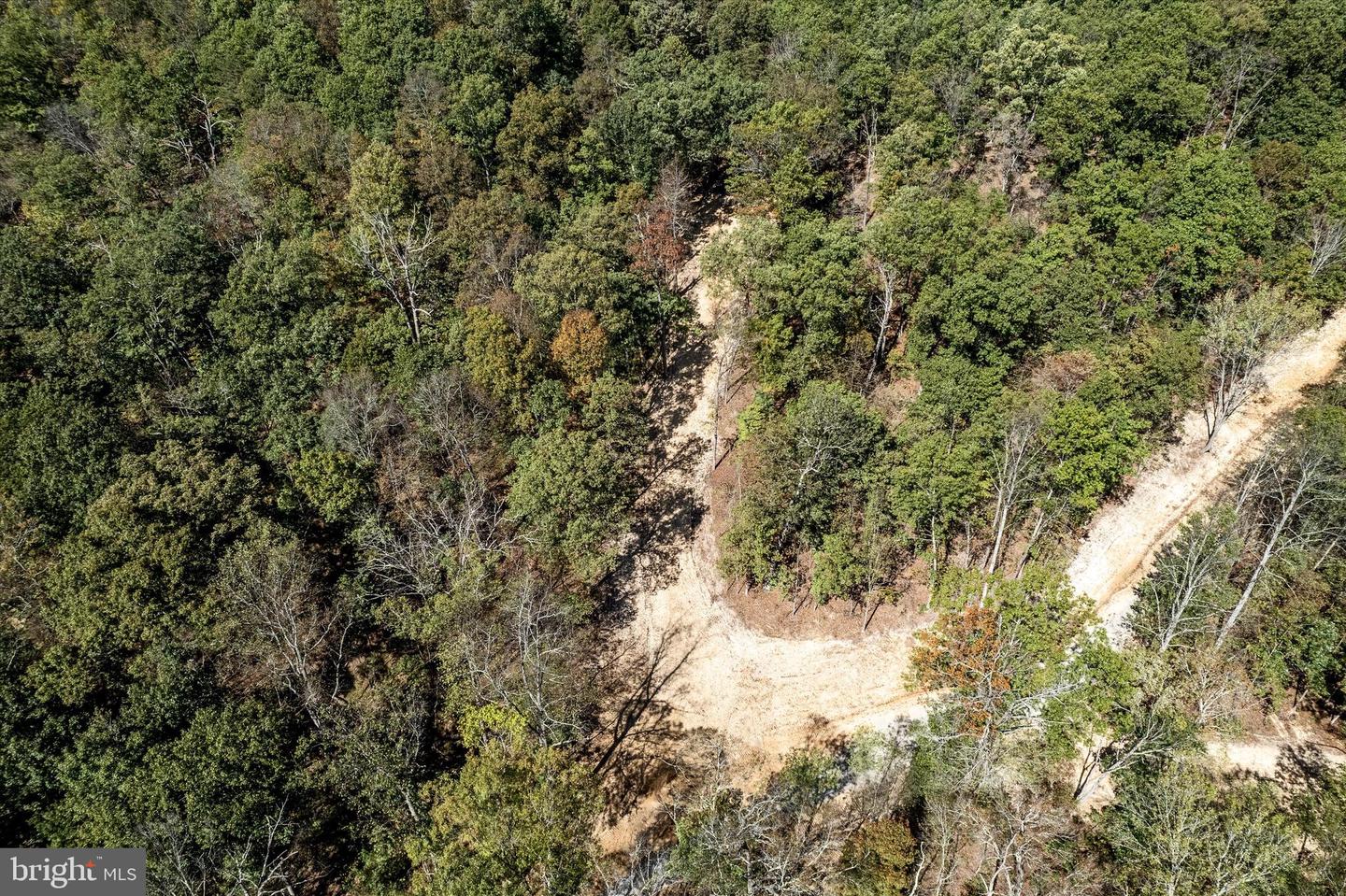 LOT 4 BACK CREEK RD, GORE, Virginia 22637, ,Land,For sale,LOT 4 BACK CREEK RD,VAFV2037398 MLS # VAFV2037398 LOT 4 BACK CREEK RD, GORE, Virginia 22637, ,Land,For sale,LOT 4 BACK CREEK RD,VAFV2037398 MLS # VAFV2037398