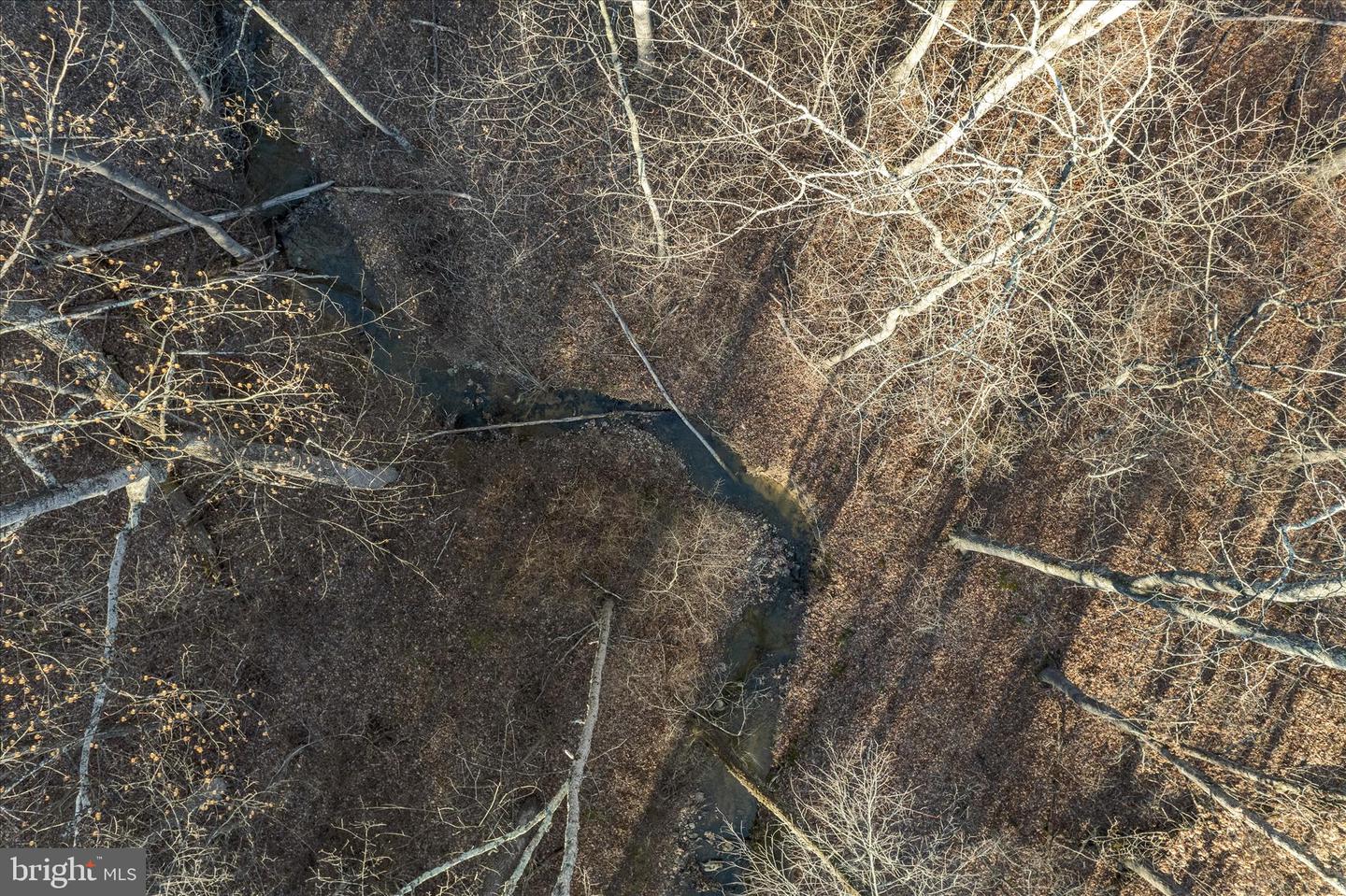 BACK CREEK RD, GORE, Virginia 22637, ,Land,For sale,BACK CREEK RD,VAFV2037822 MLS # VAFV2037822 BACK CREEK RD, GORE, Virginia 22637, ,Land,For sale,BACK CREEK RD,VAFV2037822 MLS # VAFV2037822