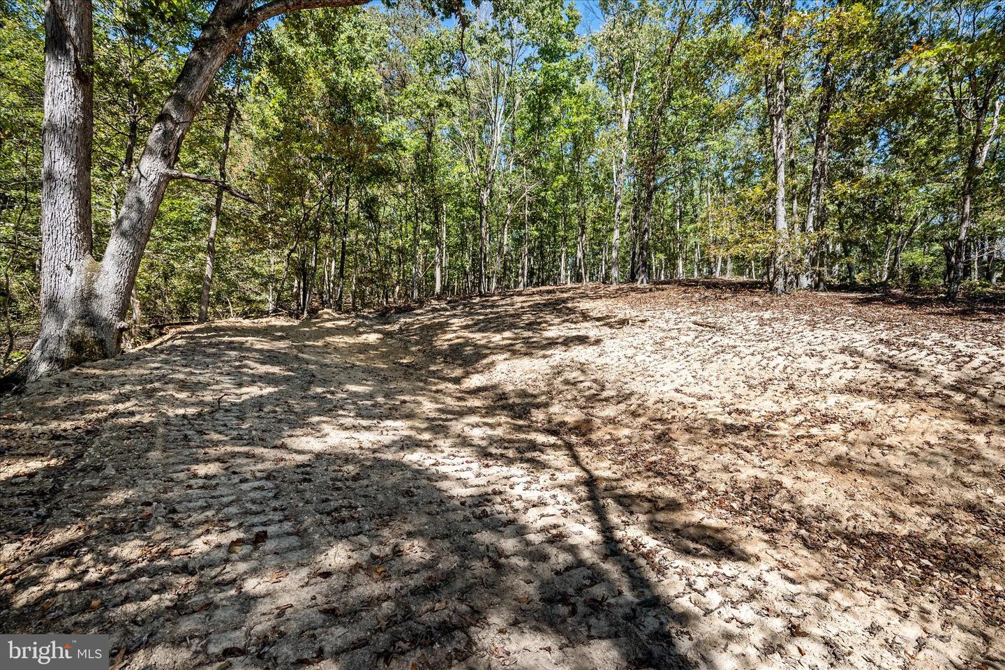 BACK CREEK RD, GORE, Virginia 22637, ,Land,For sale,BACK CREEK RD,VAFV2037822 MLS # VAFV2037822 BACK CREEK RD, GORE, Virginia 22637, ,Land,For sale,BACK CREEK RD,VAFV2037822 MLS # VAFV2037822