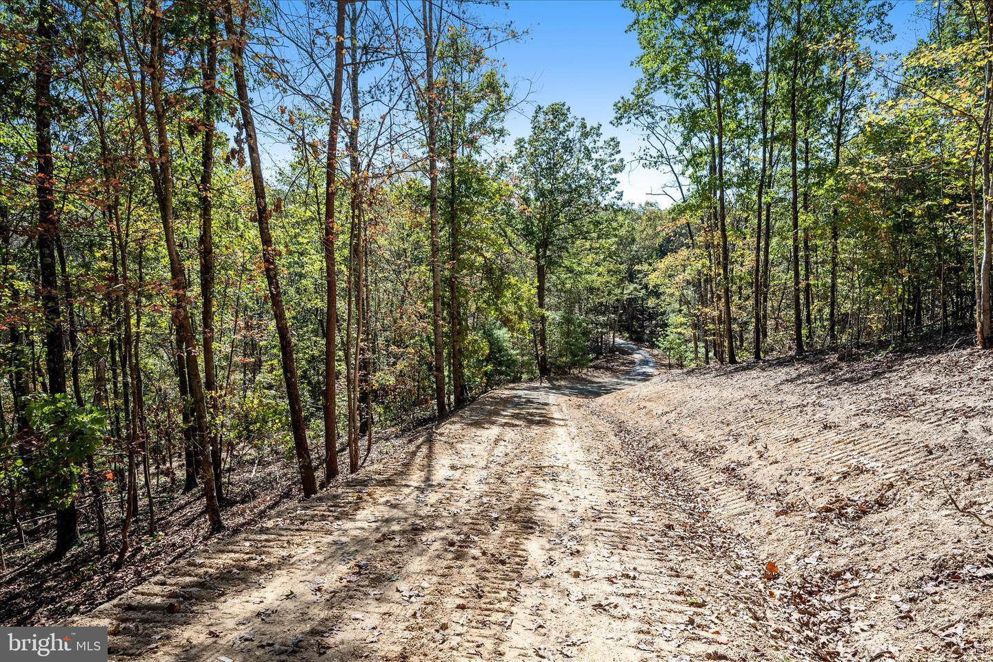 BACK CREEK RD, GORE, Virginia 22637, ,Land,For sale,BACK CREEK RD,VAFV2037822 MLS # VAFV2037822 BACK CREEK RD, GORE, Virginia 22637, ,Land,For sale,BACK CREEK RD,VAFV2037822 MLS # VAFV2037822