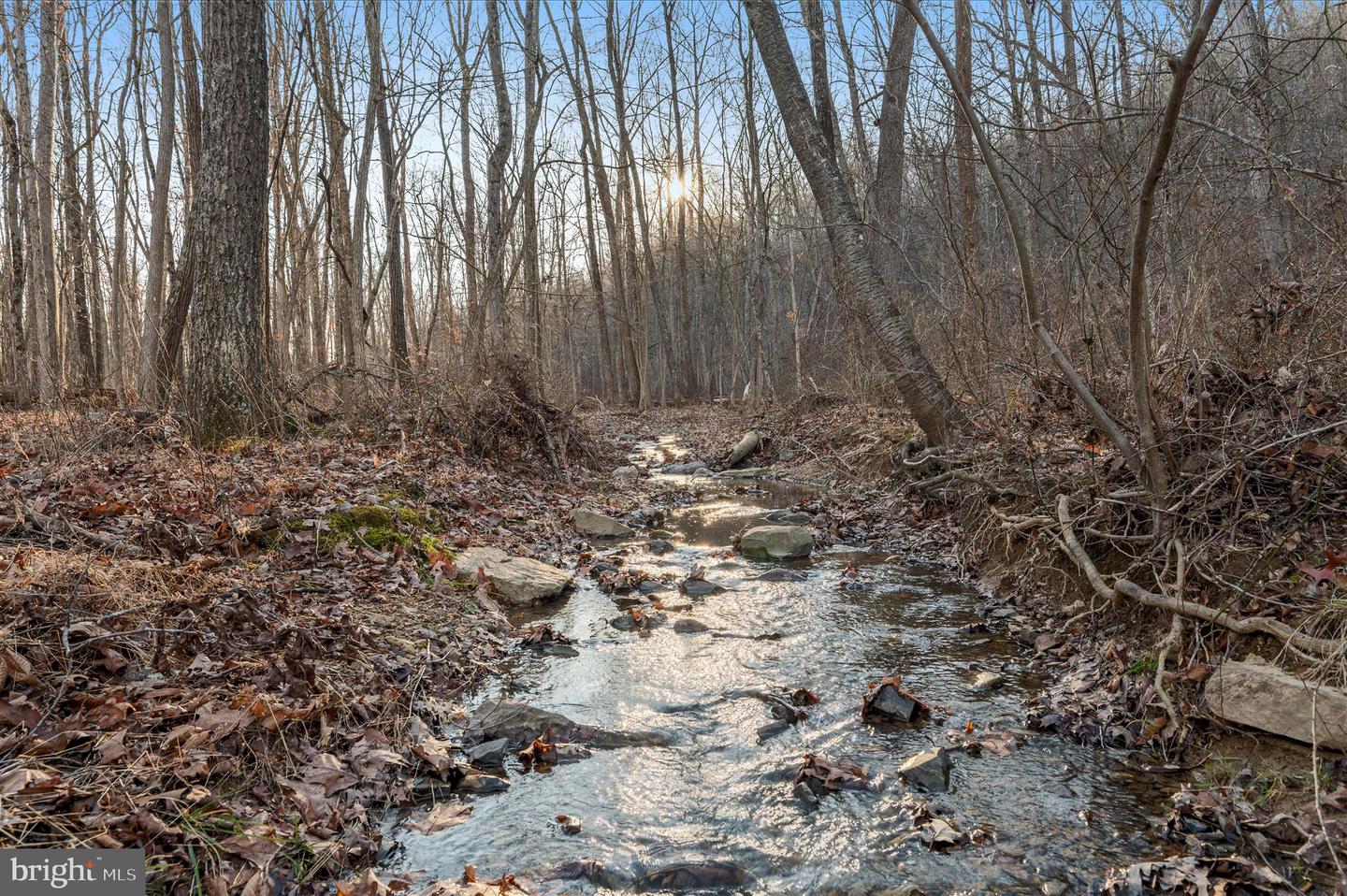 BACK CREEK RD, GORE, Virginia 22637, ,Land,For sale,BACK CREEK RD,VAFV2037822 MLS # VAFV2037822 BACK CREEK RD, GORE, Virginia 22637, ,Land,For sale,BACK CREEK RD,VAFV2037822 MLS # VAFV2037822