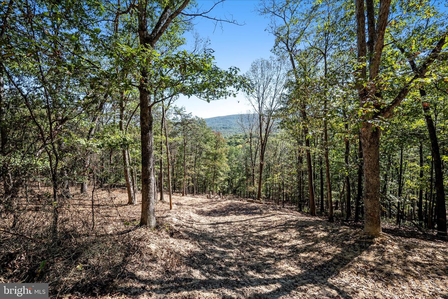 BACK CREEK RD, GORE, Virginia 22637, ,Land,For sale,BACK CREEK RD,VAFV2037822 MLS # VAFV2037822 BACK CREEK RD, GORE, Virginia 22637, ,Land,For sale,BACK CREEK RD,VAFV2037822 MLS # VAFV2037822