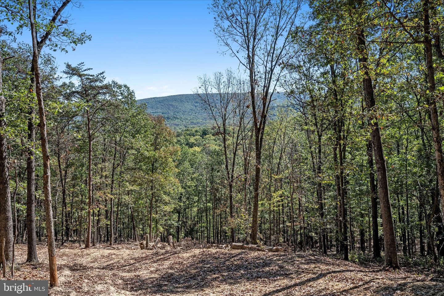 BACK CREEK RD, GORE, Virginia 22637, ,Land,For sale,BACK CREEK RD,VAFV2037822 MLS # VAFV2037822 BACK CREEK RD, GORE, Virginia 22637, ,Land,For sale,BACK CREEK RD,VAFV2037822 MLS # VAFV2037822