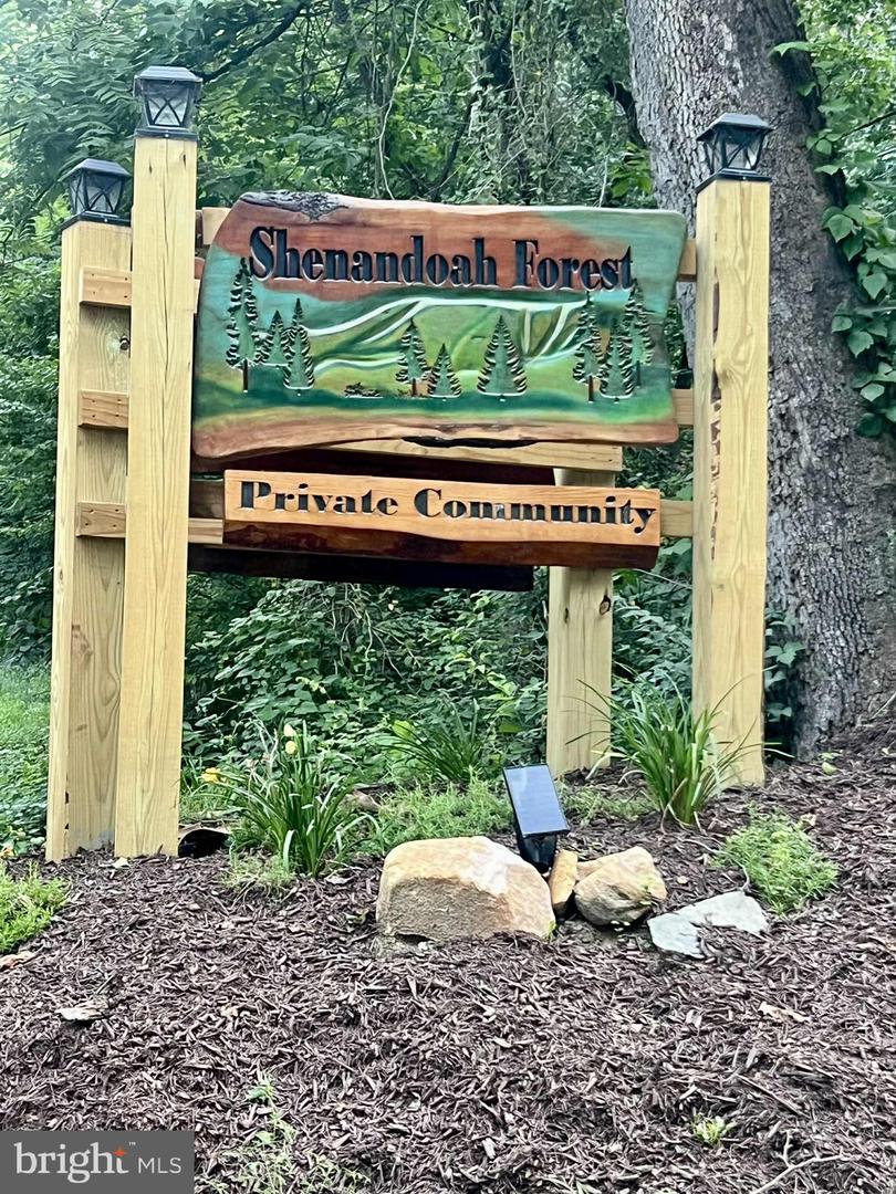 SUZANNE LANE, LURAY, Virginia 22835, ,Land,For sale,SUZANNE LANE,VAPA2006058 MLS # VAPA2006058 SUZANNE LANE, LURAY, Virginia 22835, ,Land,For sale,SUZANNE LANE,VAPA2006058 MLS # VAPA2006058