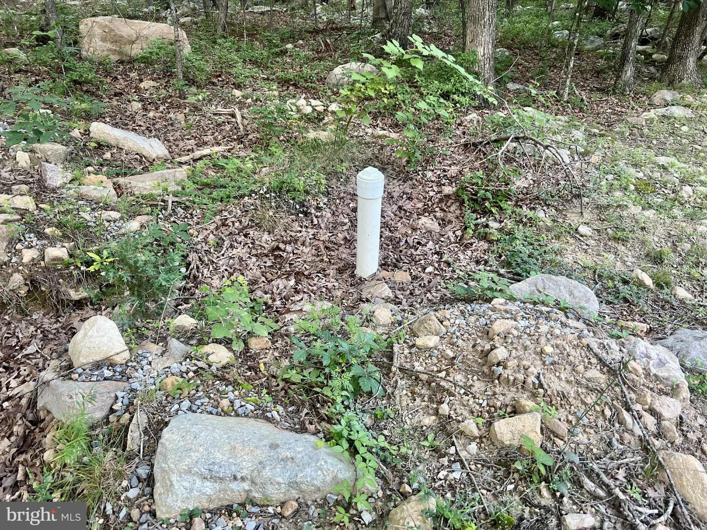 SUZANNE LANE, LURAY, Virginia 22835, ,Land,For sale,SUZANNE LANE,VAPA2006058 MLS # VAPA2006058 SUZANNE LANE, LURAY, Virginia 22835, ,Land,For sale,SUZANNE LANE,VAPA2006058 MLS # VAPA2006058