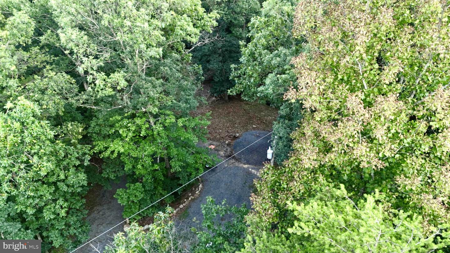 SUZANNE LANE, LURAY, Virginia 22835, ,Land,For sale,SUZANNE LANE,VAPA2006058 MLS # VAPA2006058 SUZANNE LANE, LURAY, Virginia 22835, ,Land,For sale,SUZANNE LANE,VAPA2006058 MLS # VAPA2006058