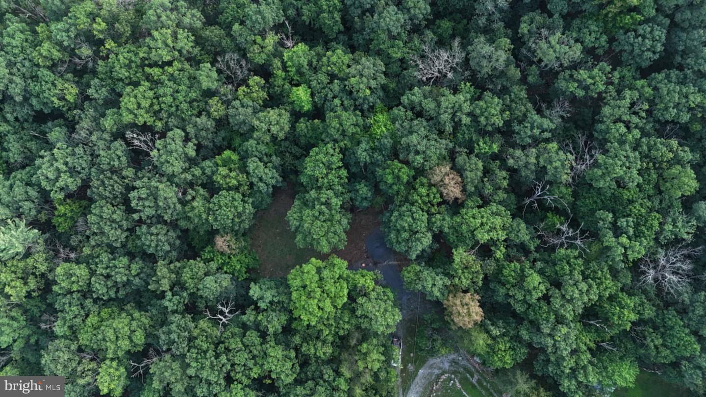 SUZANNE LANE, LURAY, Virginia 22835, ,Land,For sale,SUZANNE LANE,VAPA2006058 MLS # VAPA2006058 SUZANNE LANE, LURAY, Virginia 22835, ,Land,For sale,SUZANNE LANE,VAPA2006058 MLS # VAPA2006058