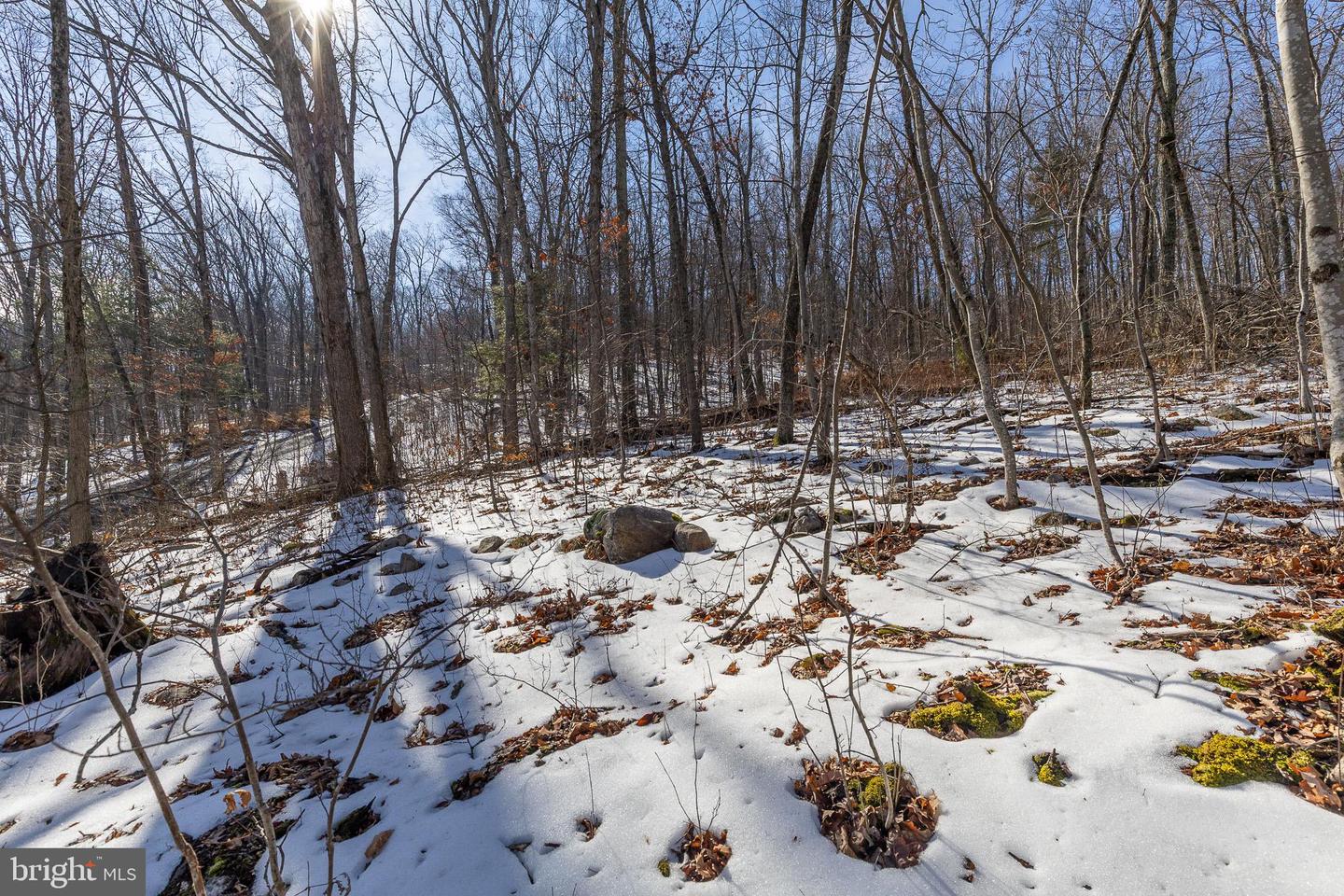 LOT 5A MASH LN, EDINBURG, Virginia 22824, ,Land,For sale,LOT 5A MASH LN,VASH2013634 MLS # VASH2013634