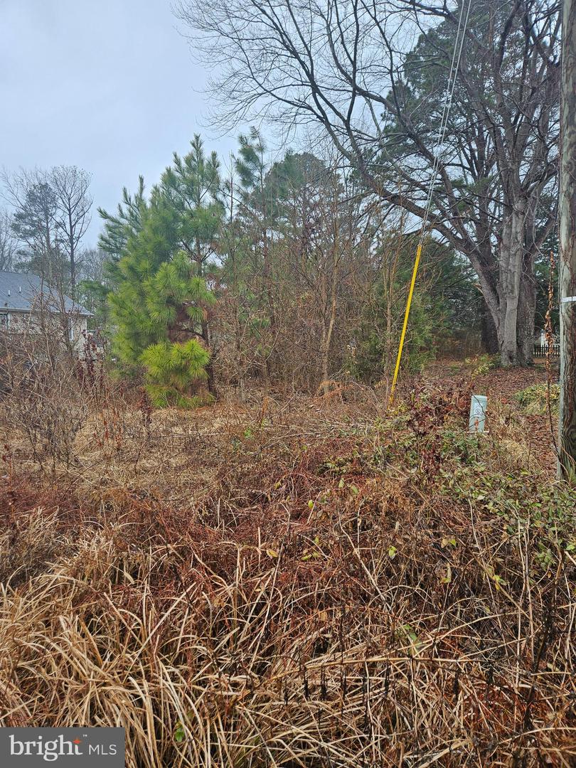 0 RANDALL RD UNKNOWN, COLONIAL BEACH, Virginia 22443, ,Land,For sale,0 RANDALL RD UNKNOWN,VAWE2010530 MLS # VAWE2010530 0 RANDALL RD UNKNOWN, COLONIAL BEACH, Virginia 22443, ,Land,For sale,0 RANDALL RD UNKNOWN,VAWE2010530 MLS # VAWE2010530