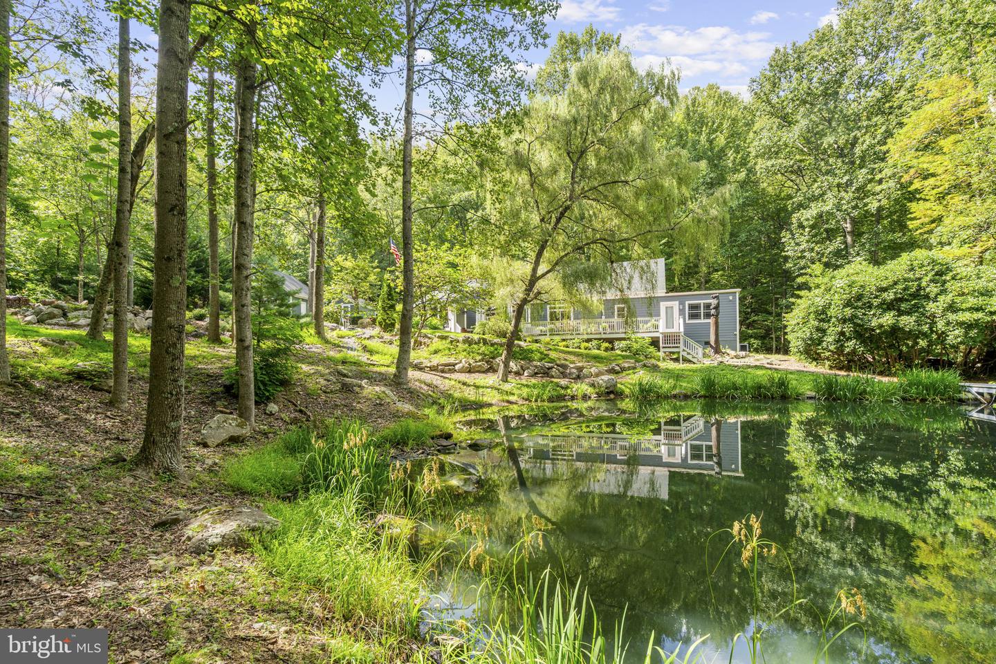 2062 JEWELL HOLLOW RD, LURAY, Virginia 22835, 4 Bedrooms Bedrooms, ,3 BathroomsBathrooms,Residential,For sale,2062 JEWELL HOLLOW RD,VAPA2005898 MLS # VAPA2005898 2062 JEWELL HOLLOW RD, LURAY, Virginia 22835, 4 Bedrooms Bedrooms, ,3 BathroomsBathrooms,Residential,For sale,2062 JEWELL HOLLOW RD,VAPA2005898 MLS # VAPA2005898