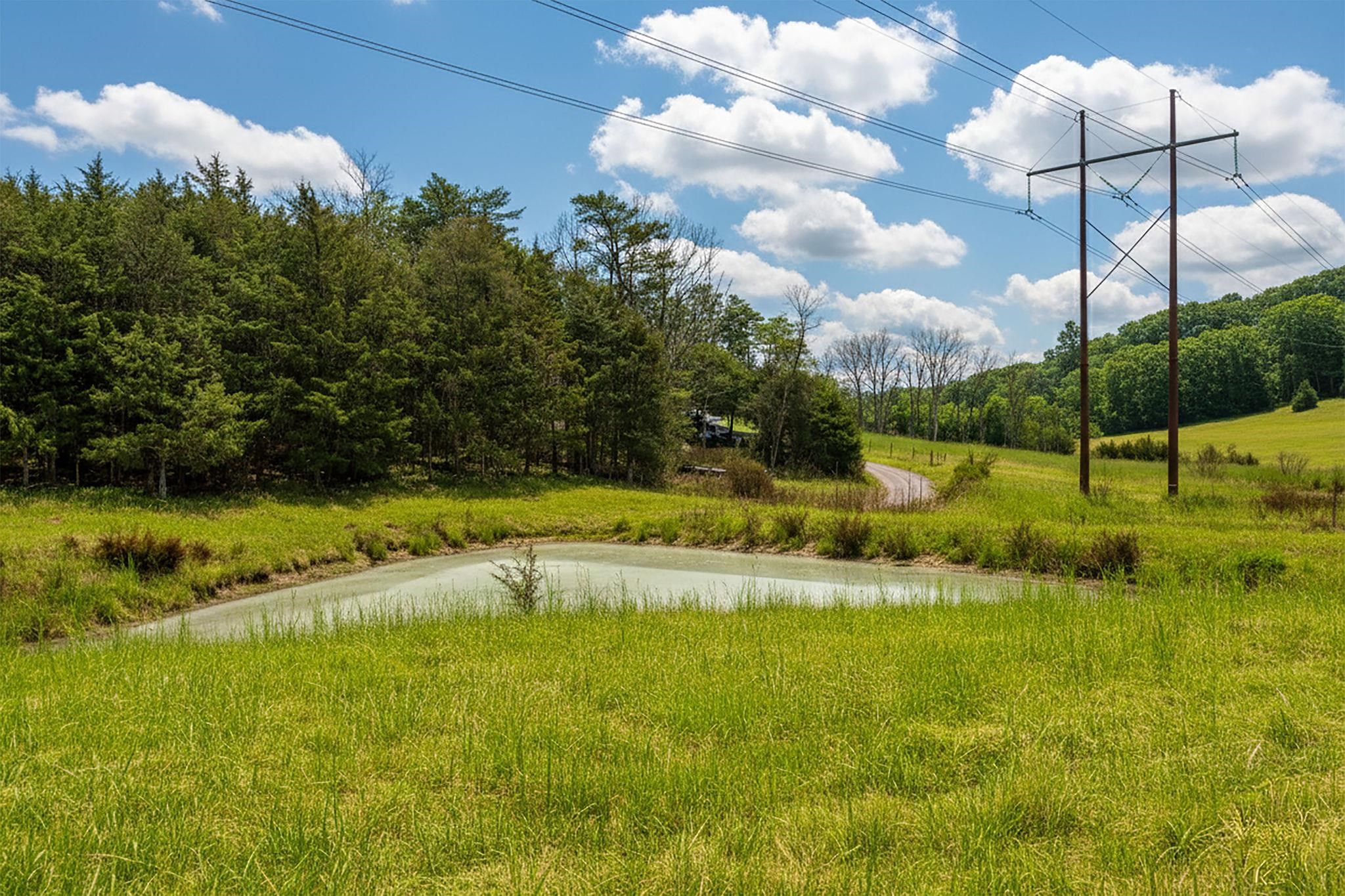 3 WALNUT VALLEY LN, WEYERS CAVE, Virginia 24486, 4 Bedrooms Bedrooms, ,3 BathroomsBathrooms,Residential,Slate Hill Farm,3 WALNUT VALLEY LN,673437 MLS # 673437 3 WALNUT VALLEY LN, WEYERS CAVE, Virginia 24486, 4 Bedrooms Bedrooms, ,3 BathroomsBathrooms,Residential,Slate Hill Farm,3 WALNUT VALLEY LN,673437 MLS # 673437