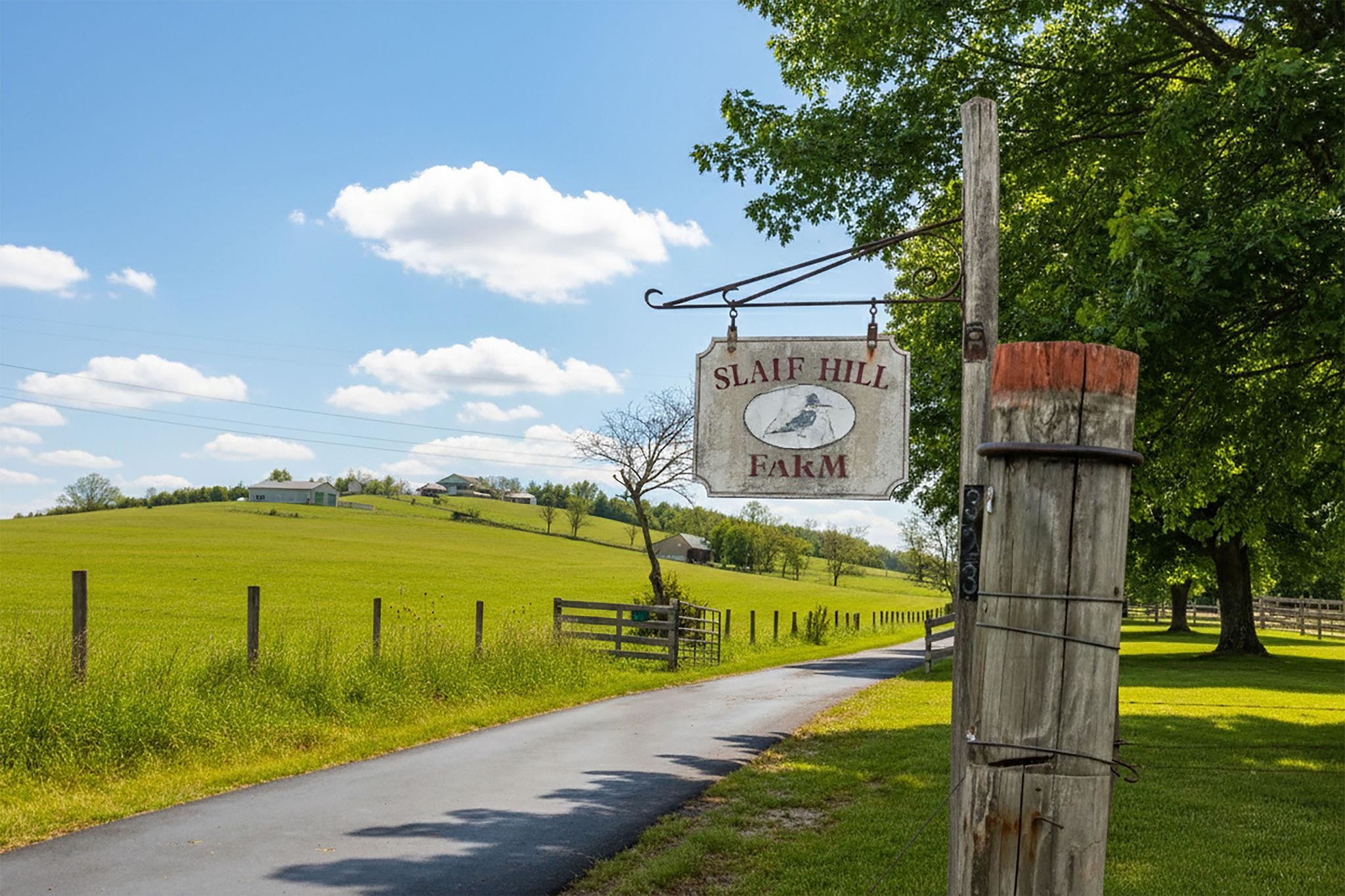 3 WALNUT VALLEY LN, WEYERS CAVE, Virginia 24486, 4 Bedrooms Bedrooms, ,3 BathroomsBathrooms,Residential,Slate Hill Farm,3 WALNUT VALLEY LN,673437 MLS # 673437 3 WALNUT VALLEY LN, WEYERS CAVE, Virginia 24486, 4 Bedrooms Bedrooms, ,3 BathroomsBathrooms,Residential,Slate Hill Farm,3 WALNUT VALLEY LN,673437 MLS # 673437