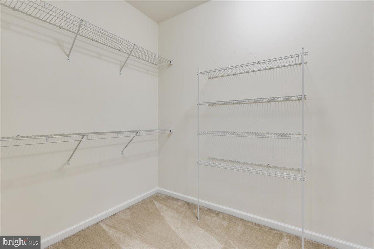 25294 GRAY POPLAR TER, ALDIE, Virginia 20105, 3 Bedrooms Bedrooms, ,2 BathroomsBathrooms,Residential,For sale,25294 GRAY POPLAR TER,VALO2114324 MLS # VALO2114324