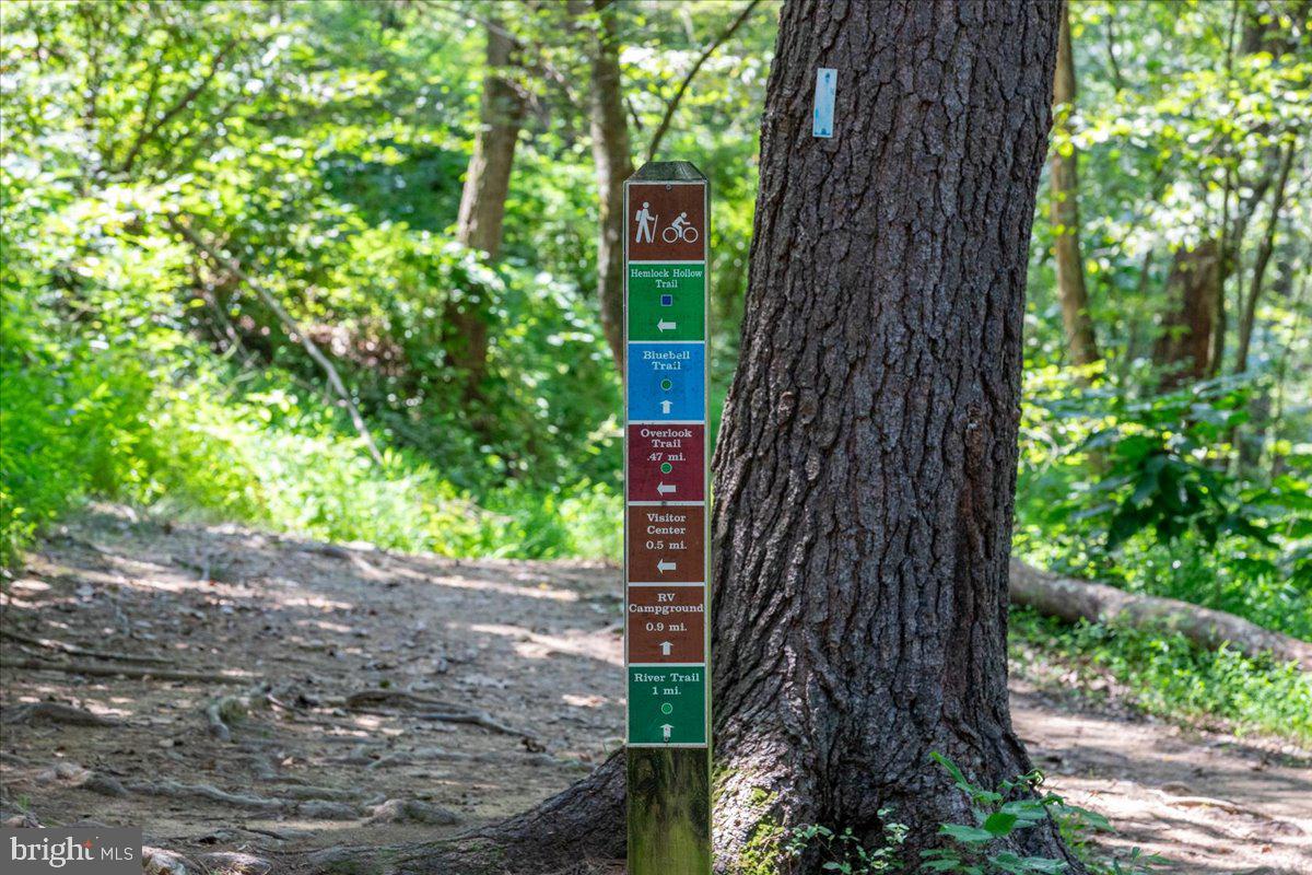 79 BENTONVILLE RD, BENTONVILLE, Virginia 22610, 3 Bedrooms Bedrooms, ,2 BathroomsBathrooms,Residential,For sale,79 BENTONVILLE RD,VAWR2013348 MLS # VAWR2013348