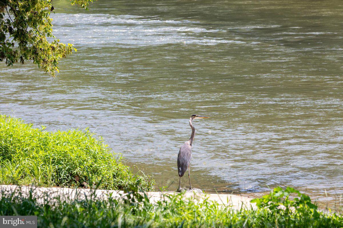 79 BENTONVILLE RD, BENTONVILLE, Virginia 22610, 3 Bedrooms Bedrooms, ,2 BathroomsBathrooms,Residential,For sale,79 BENTONVILLE RD,VAWR2013348 MLS # VAWR2013348