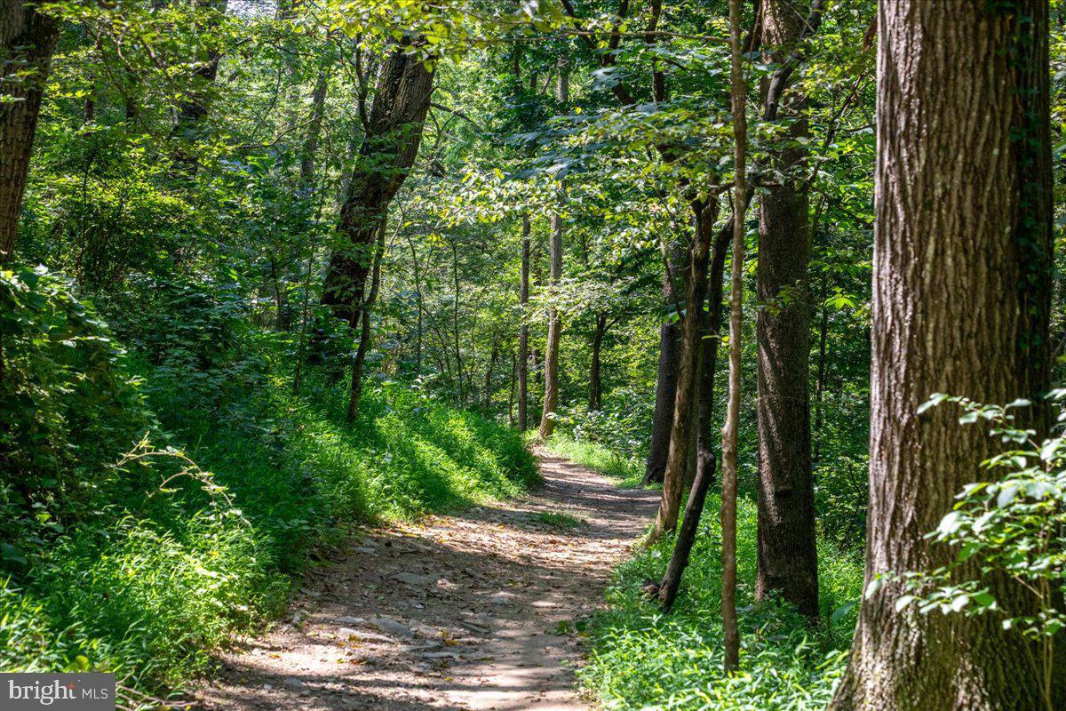 79 BENTONVILLE RD, BENTONVILLE, Virginia 22610, 3 Bedrooms Bedrooms, ,2 BathroomsBathrooms,Residential,For sale,79 BENTONVILLE RD,VAWR2013348 MLS # VAWR2013348