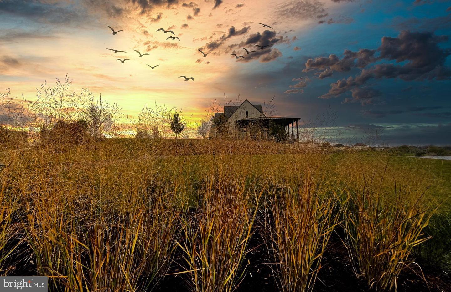 23626 JAYADEV TER, ASHBURN, Virginia 20148, 3 Bedrooms Bedrooms, ,2 BathroomsBathrooms,Residential,For sale,23626 JAYADEV TER,VALO2116096 MLS # VALO2116096