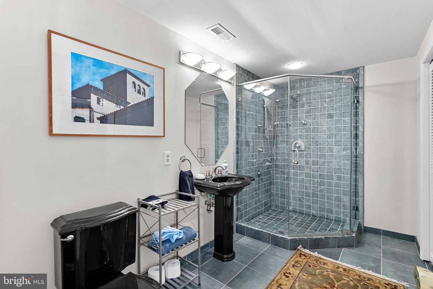 43312 CRYSTAL LAKE ST, LEESBURG, Virginia 20176, 5 Bedrooms Bedrooms, ,4 BathroomsBathrooms,Residential,For sale,43312 CRYSTAL LAKE ST,VALO2112340 MLS # VALO2112340