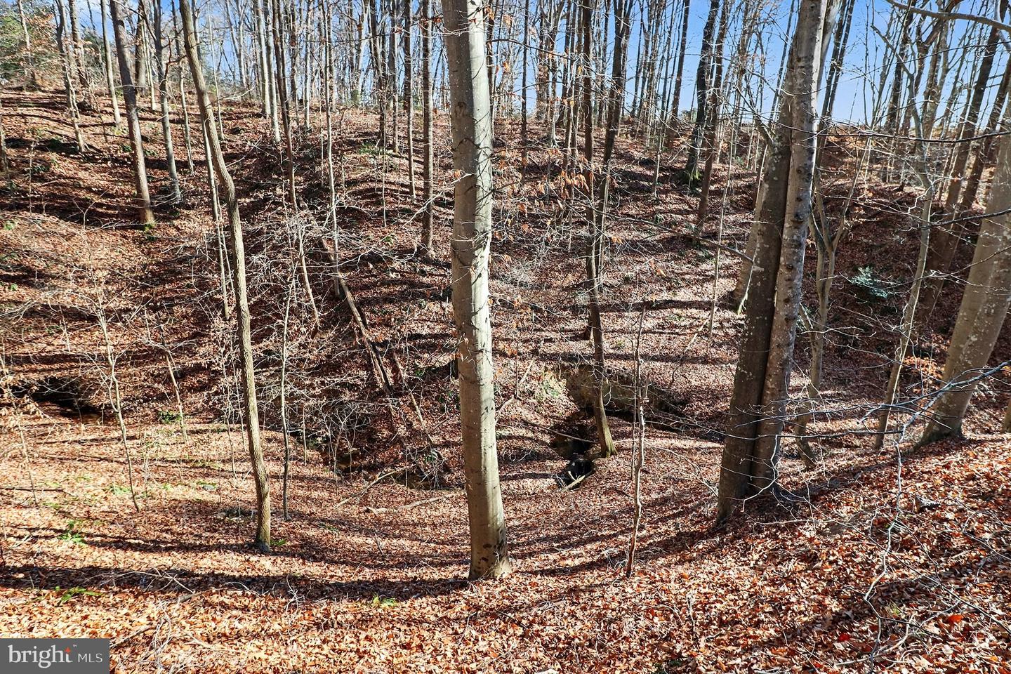 1326 KINGS HWY, KING GEORGE, Virginia 22485, ,Land,For sale,1326 KINGS HWY,VAKG2007492 MLS # VAKG2007492