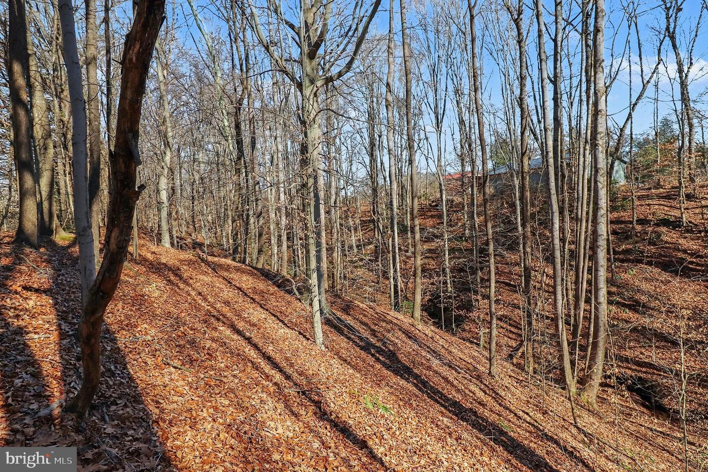 1326 KINGS HWY, KING GEORGE, Virginia 22485, ,Land,For sale,1326 KINGS HWY,VAKG2007492 MLS # VAKG2007492